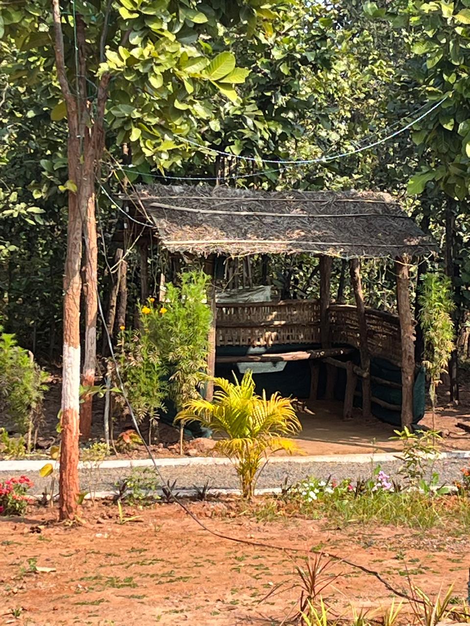 Luxury resort pool with palm trees at sunset